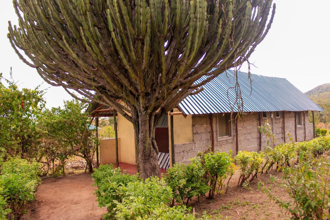 Eco Mara Forest Camp Ololaimutiek Buitenkant foto