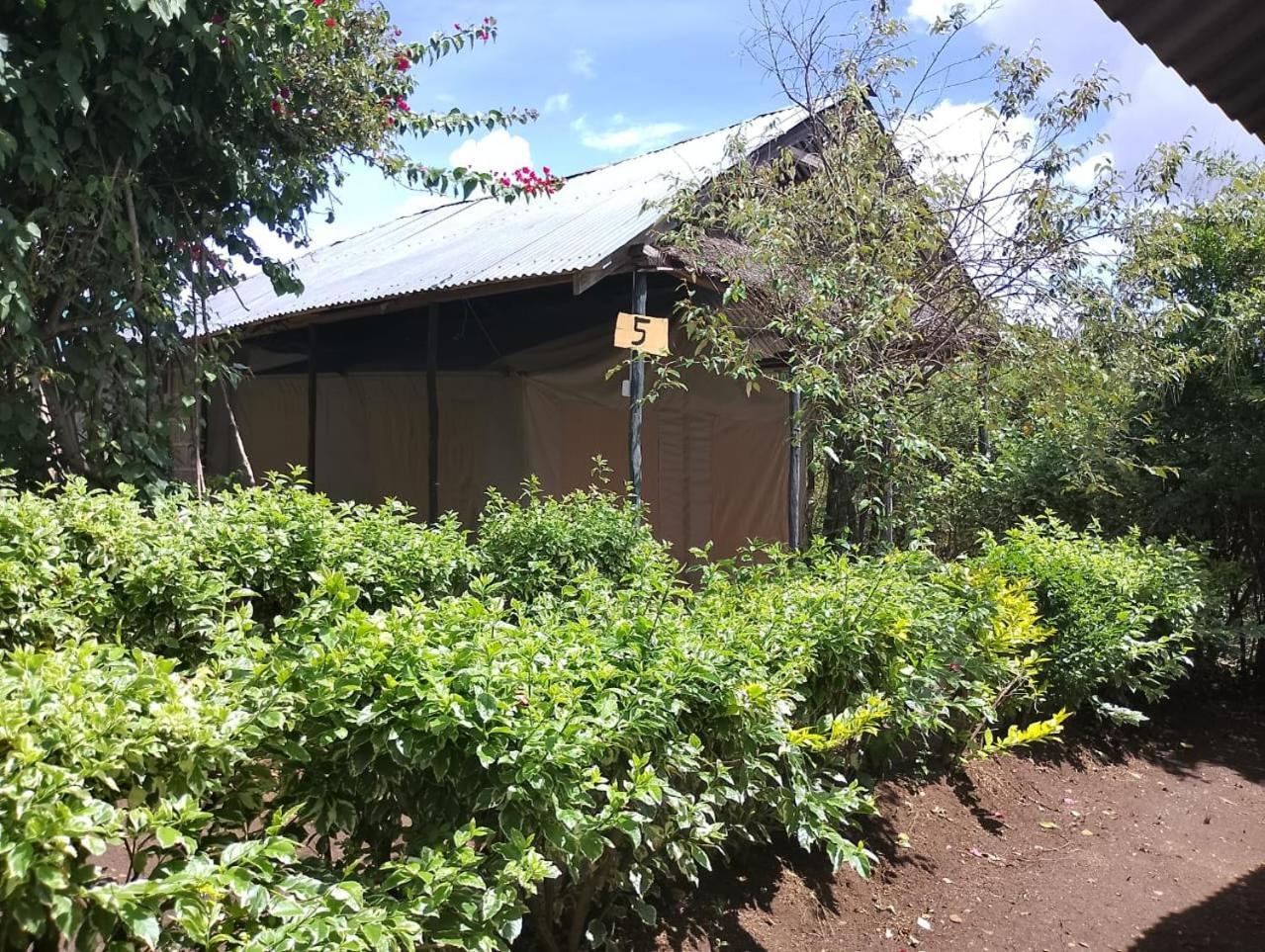 Eco Mara Forest Camp Ololaimutiek Kamer foto